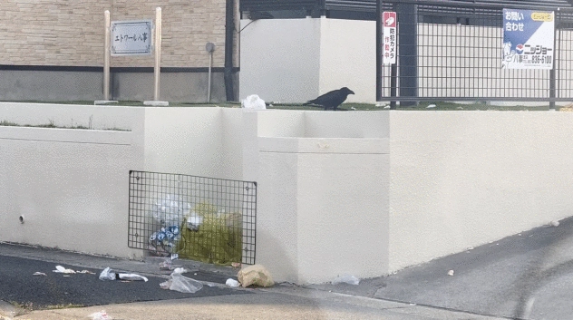 scairecrow - カラスからゴミを守るシステム